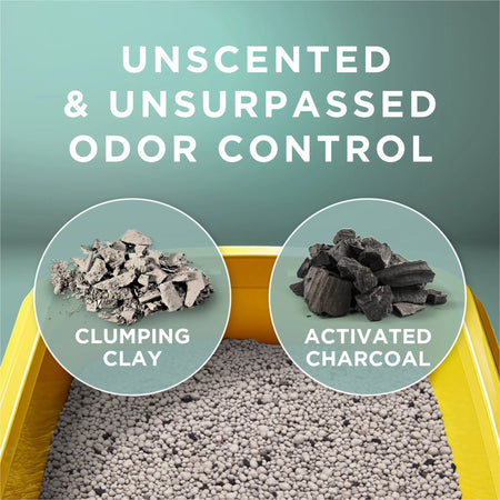 Purina Free and Clean Clumping Cat Litter, Unscented, 20 Lb Jug