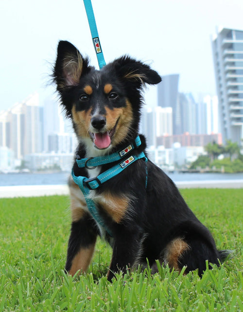 Load image into Gallery viewer, Recycled Dog Collar with Reflective Puppy Collar Small Coral
