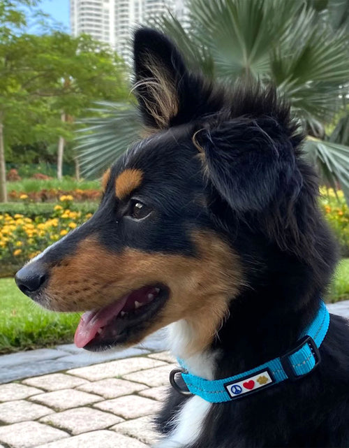 Load image into Gallery viewer, Recycled Dog Collar with Reflective Puppy Collar Small Coral

