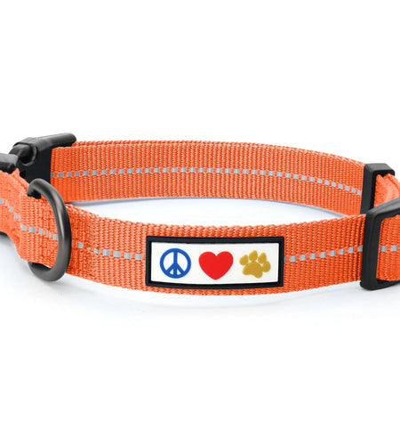 Recycled Dog Collar with Reflective Puppy Collar Small Coral