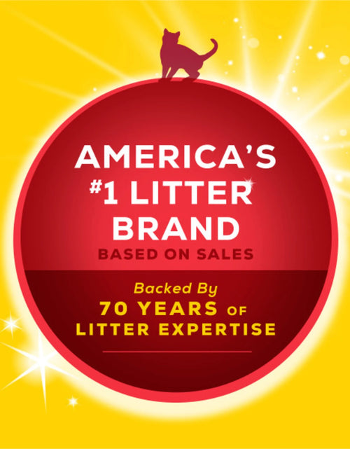 Load image into Gallery viewer, Purina  24/7 Performance Clumping Cat Litter, Clean Linen Scent, 20 Lb Jug
