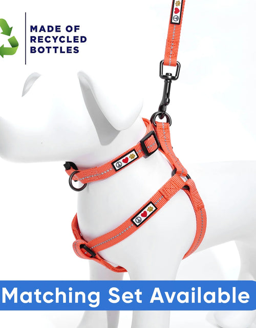 Load image into Gallery viewer, Recycled Dog Collar with Reflective Puppy Collar Small Coral
